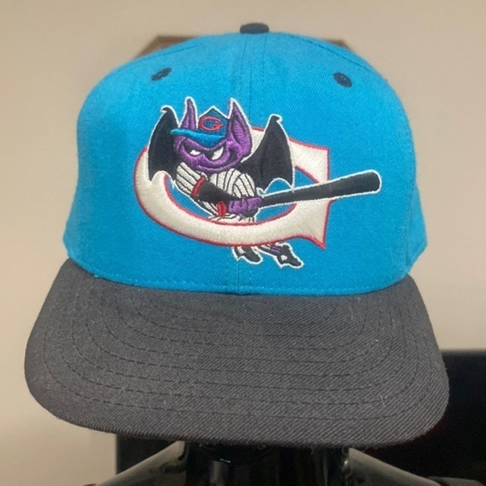 Vintage Greensboro, bats minor-league, fitted